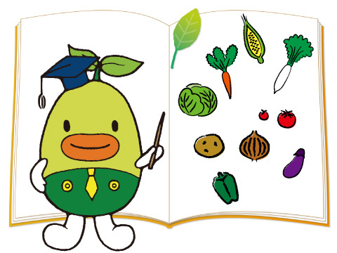 野菜の解説(PDF)