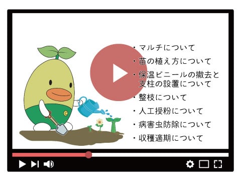 たのしい野菜づくり(YouTube)