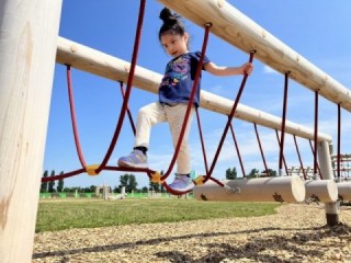 木製アスレチックのページに遷移します