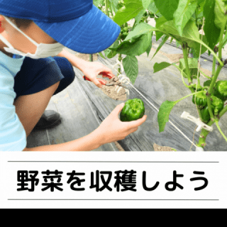体験農園のページに遷移します