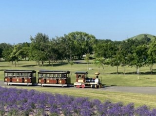 SLバスのページに遷移します